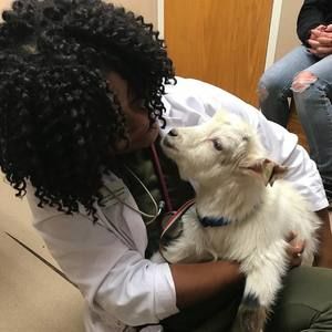 Meet your Posher, Markeya